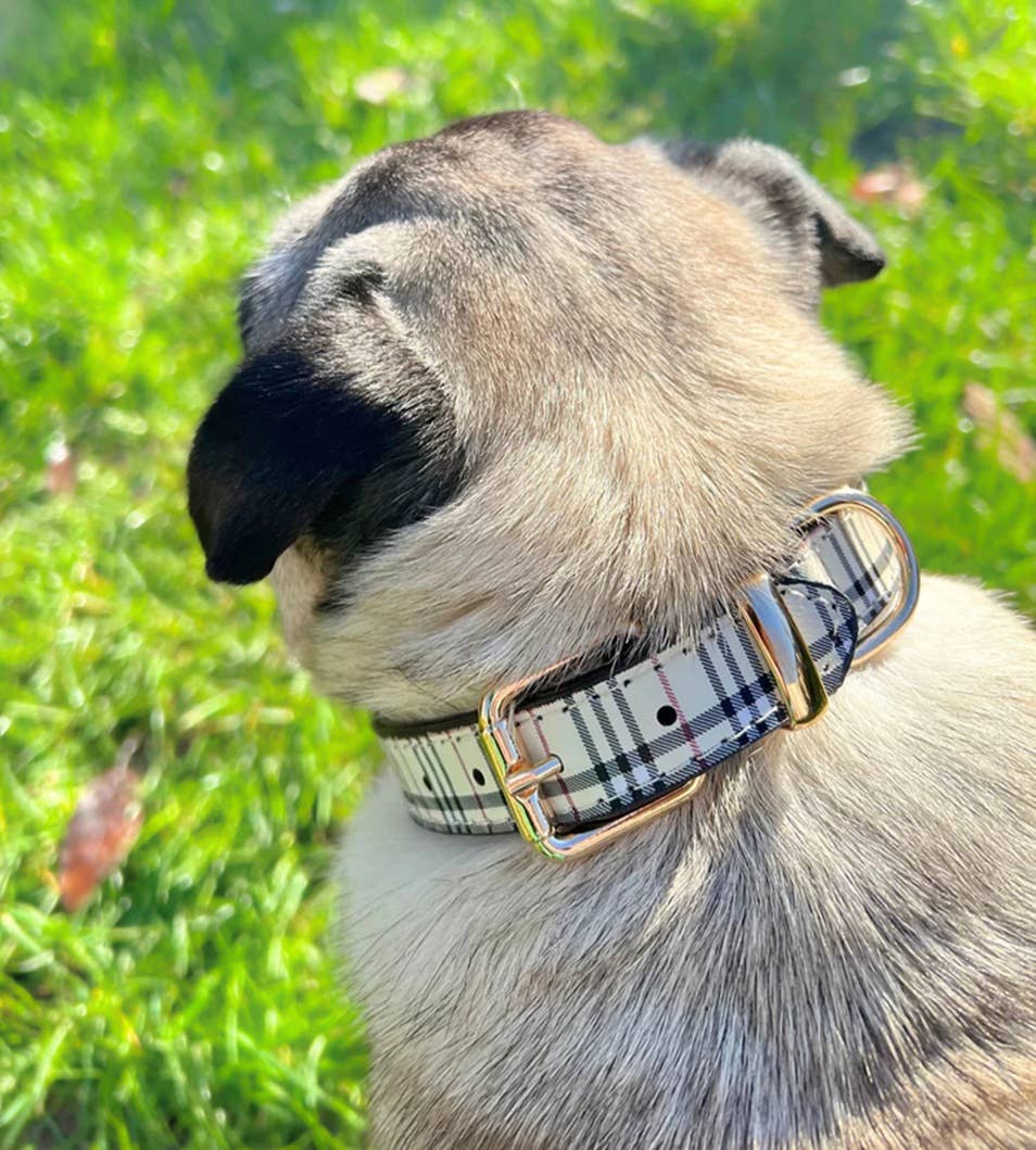 Collar para mascotas Stanley Beige inspirado en Burberry
