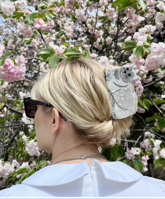 🐱 Hand-painted Ragdoll Cat Claw Hair Clip