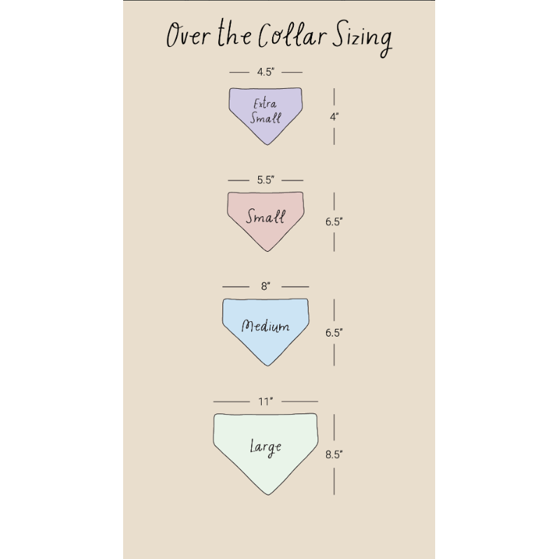 Boo Thang Over the Collar Pet Bandana Statement New Orleans