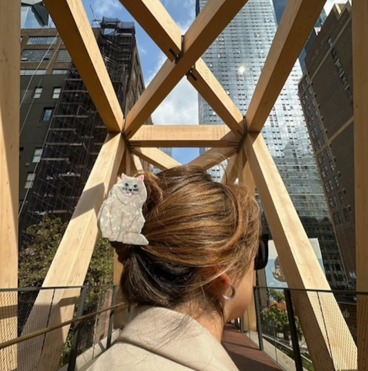 Pinza para el pelo con forma de garra de gato persa pintada a mano